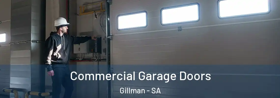  Commercial Garage Doors Gillman - SA