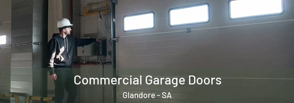  Commercial Garage Doors Glandore - SA