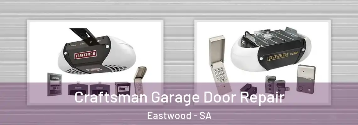 Craftsman Garage Door Repair Eastwood - SA