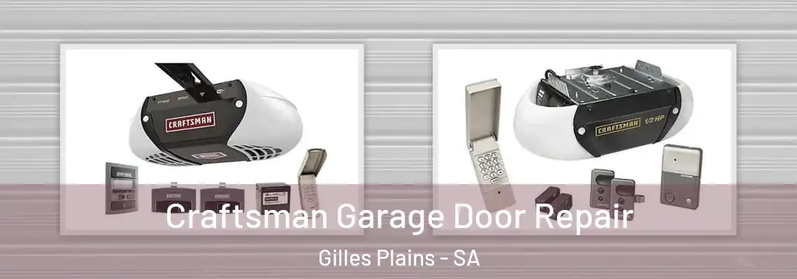  Craftsman Garage Door Repair Gilles Plains - SA