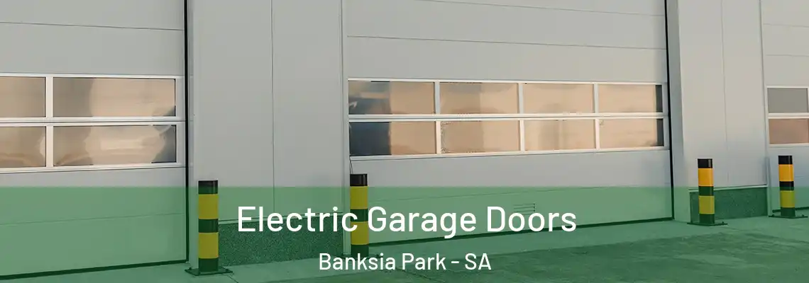 Electric Garage Doors Banksia Park - SA