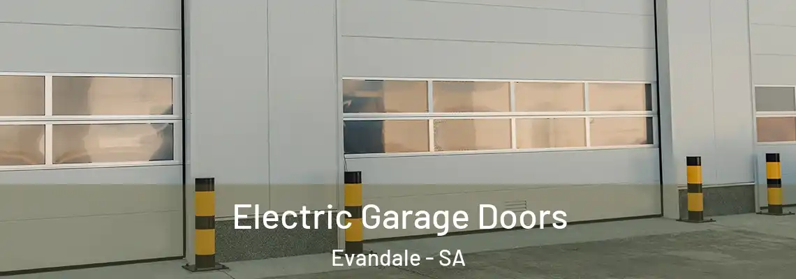  Electric Garage Doors Evandale - SA