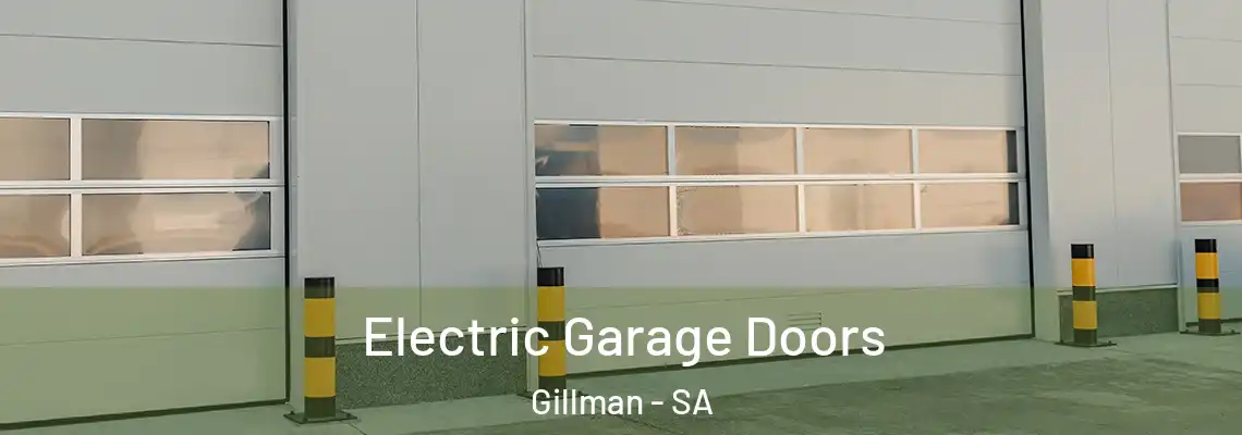  Electric Garage Doors Gillman - SA