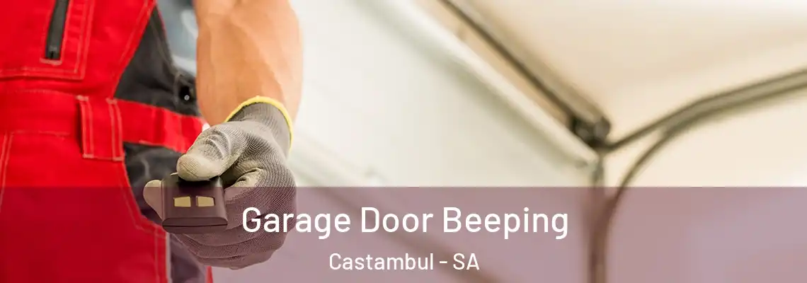  Garage Door Beeping Castambul - SA