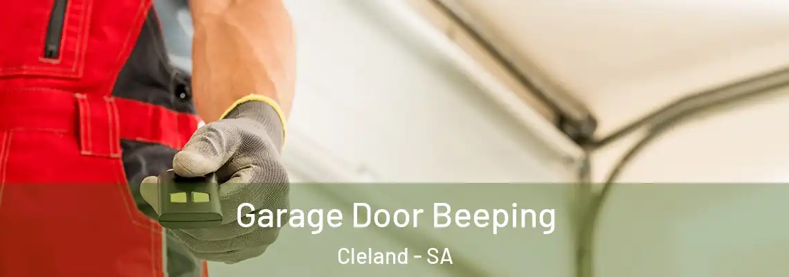  Garage Door Beeping Cleland - SA