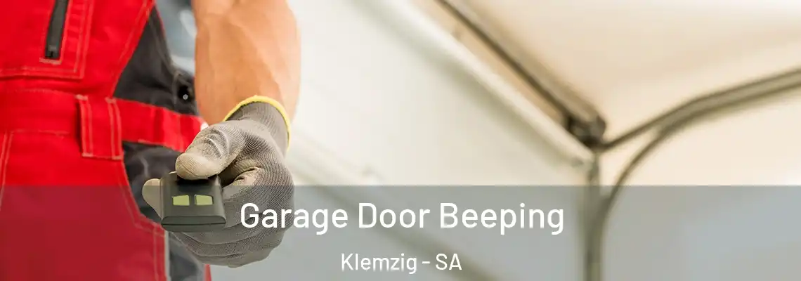  Garage Door Beeping Klemzig - SA