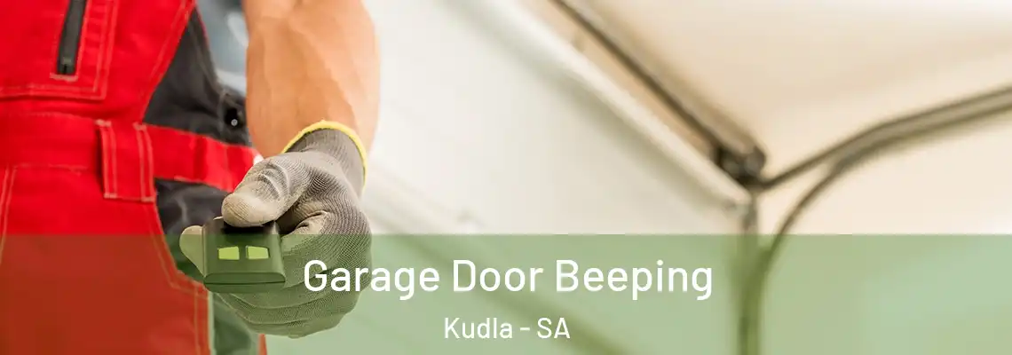  Garage Door Beeping Kudla - SA