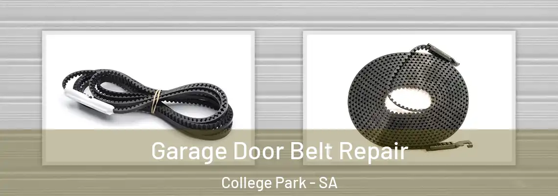 Garage Door Belt Repair College Park - SA
