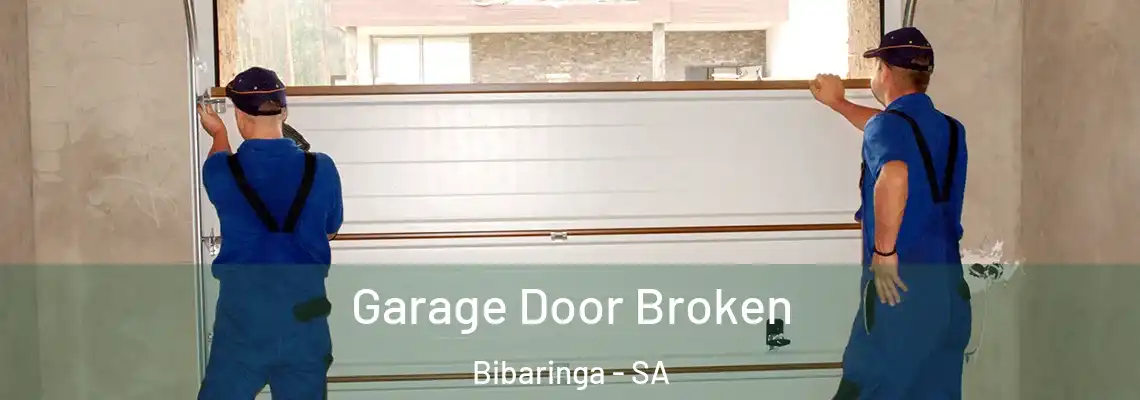  Garage Door Broken Bibaringa - SA