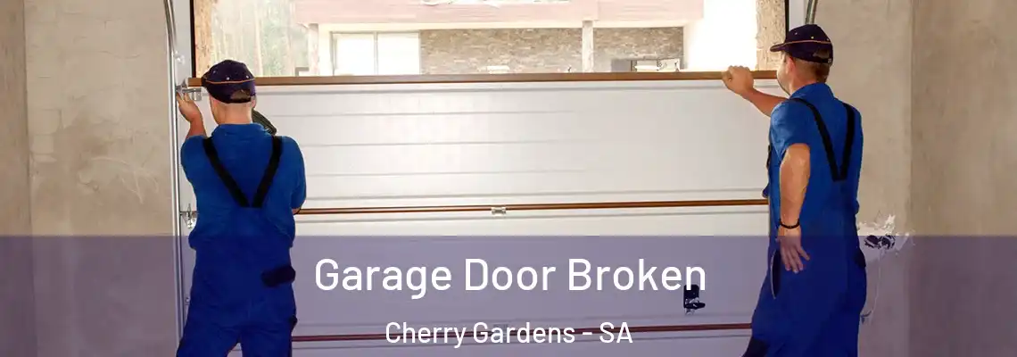  Garage Door Broken Cherry Gardens - SA