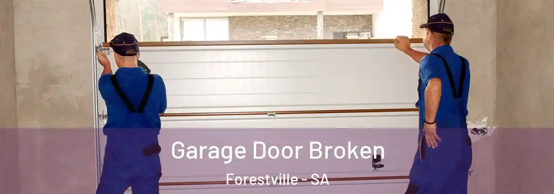  Garage Door Broken Forestville - SA