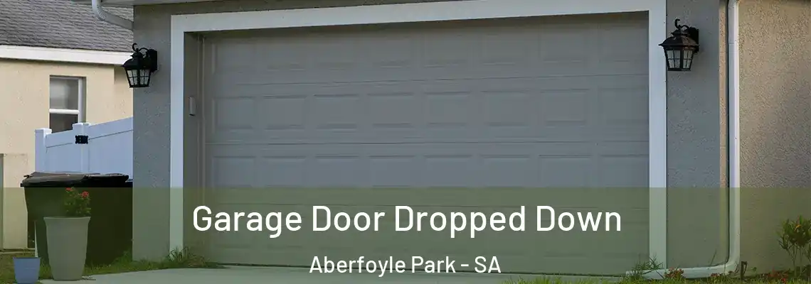  Garage Door Dropped Down Aberfoyle Park - SA