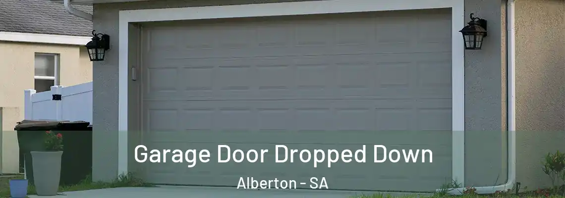  Garage Door Dropped Down Alberton - SA