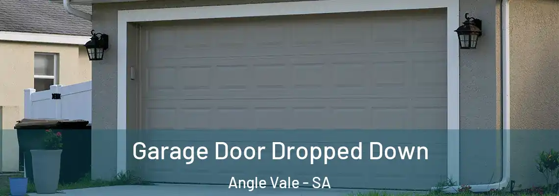  Garage Door Dropped Down Angle Vale - SA