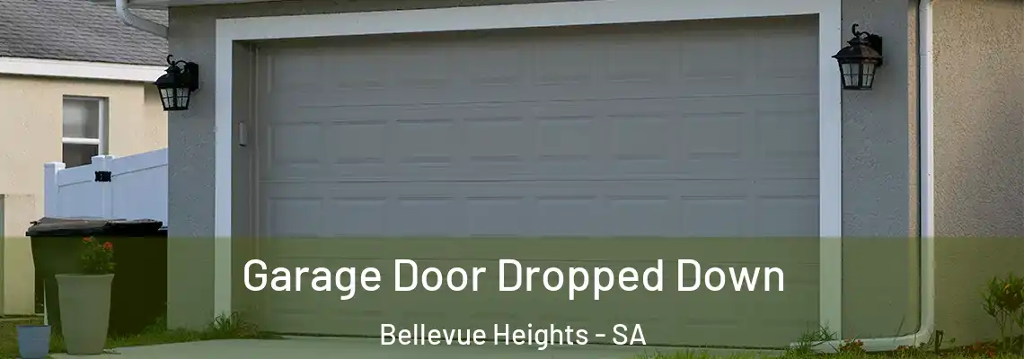  Garage Door Dropped Down Bellevue Heights - SA