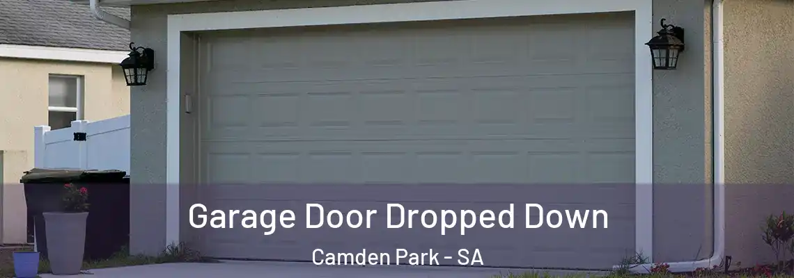  Garage Door Dropped Down Camden Park - SA