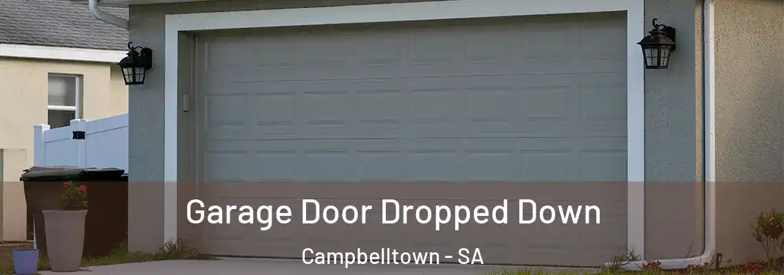  Garage Door Dropped Down Campbelltown - SA