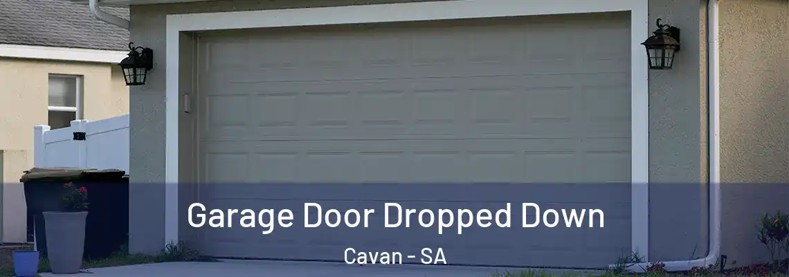  Garage Door Dropped Down Cavan - SA