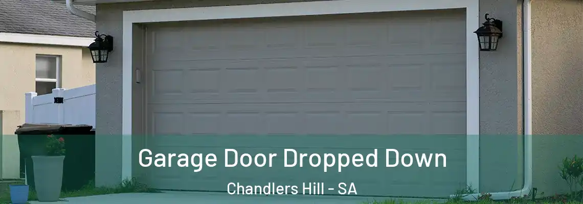 Garage Door Dropped Down Chandlers Hill - SA