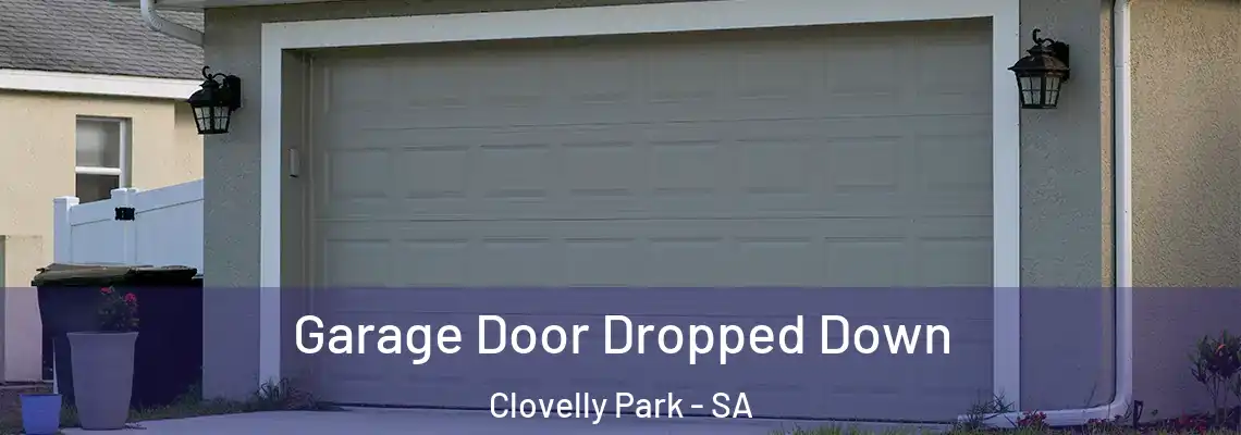  Garage Door Dropped Down Clovelly Park - SA