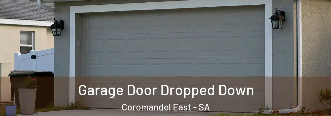  Garage Door Dropped Down Coromandel East - SA