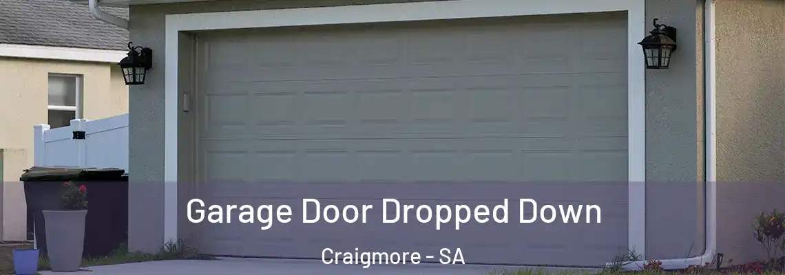  Garage Door Dropped Down Craigmore - SA