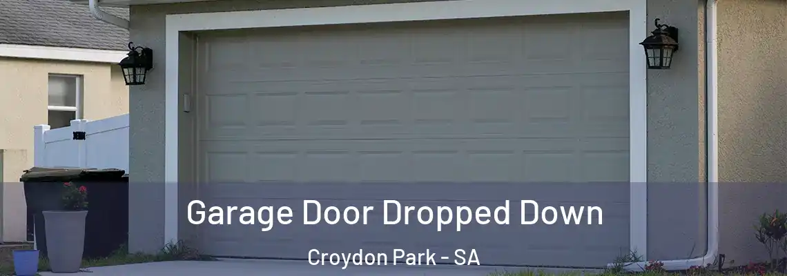 Garage Door Dropped Down Croydon Park - SA