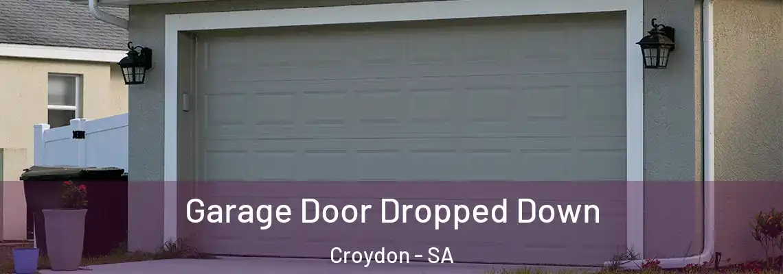  Garage Door Dropped Down Croydon - SA