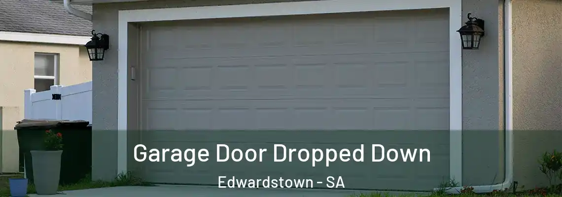  Garage Door Dropped Down Edwardstown - SA