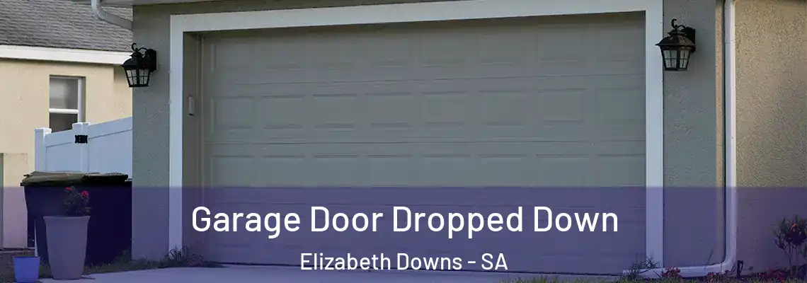  Garage Door Dropped Down Elizabeth Downs - SA