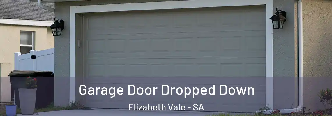  Garage Door Dropped Down Elizabeth Vale - SA