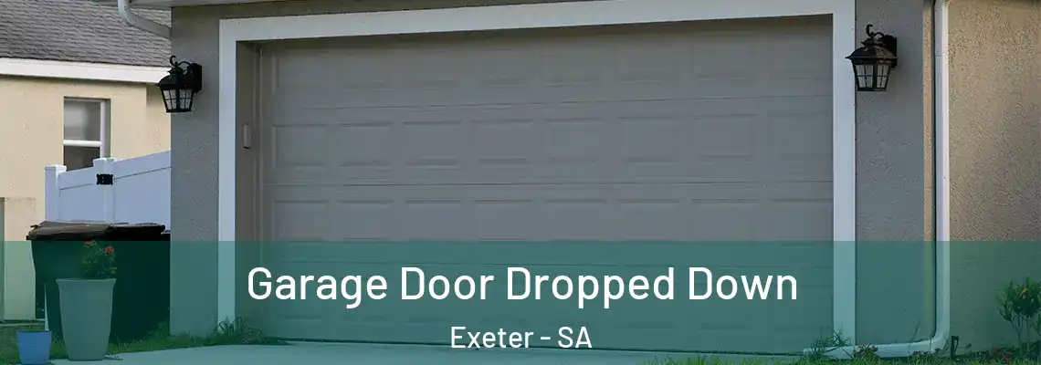  Garage Door Dropped Down Exeter - SA