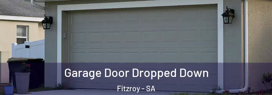  Garage Door Dropped Down Fitzroy - SA