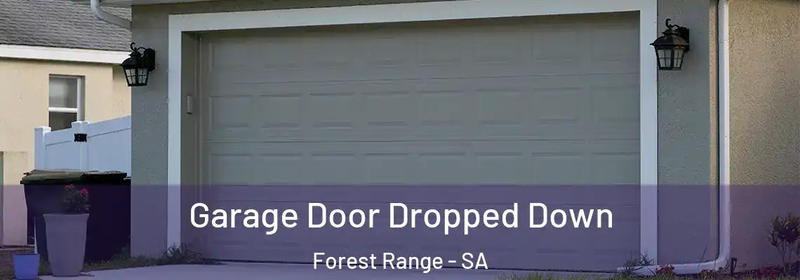  Garage Door Dropped Down Forest Range - SA