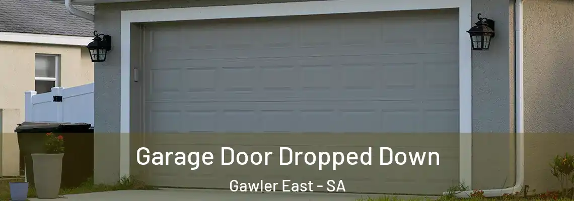  Garage Door Dropped Down Gawler East - SA