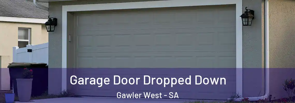  Garage Door Dropped Down Gawler West - SA