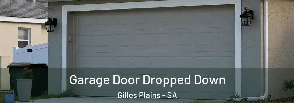  Garage Door Dropped Down Gilles Plains - SA