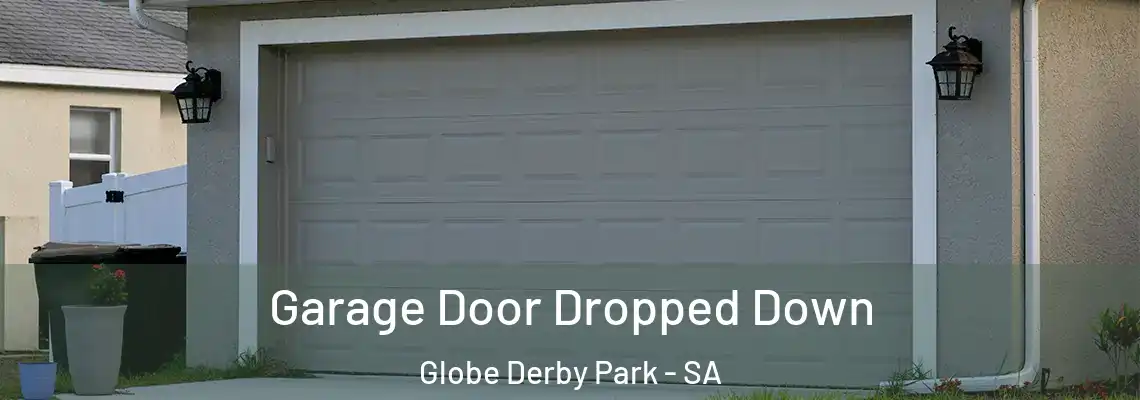  Garage Door Dropped Down Globe Derby Park - SA