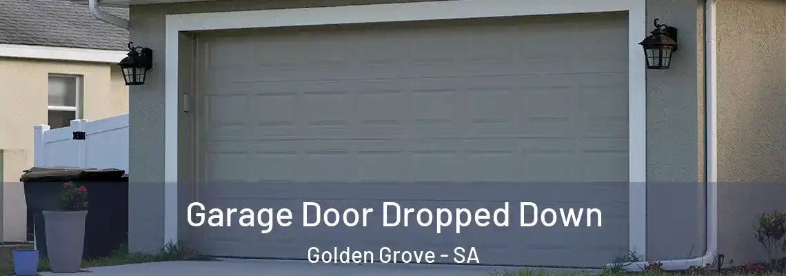  Garage Door Dropped Down Golden Grove - SA