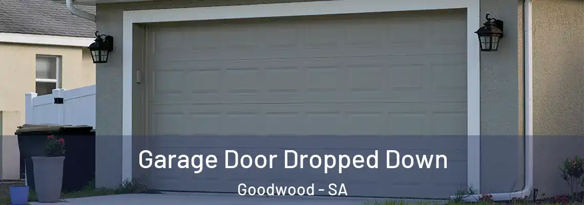  Garage Door Dropped Down Goodwood - SA