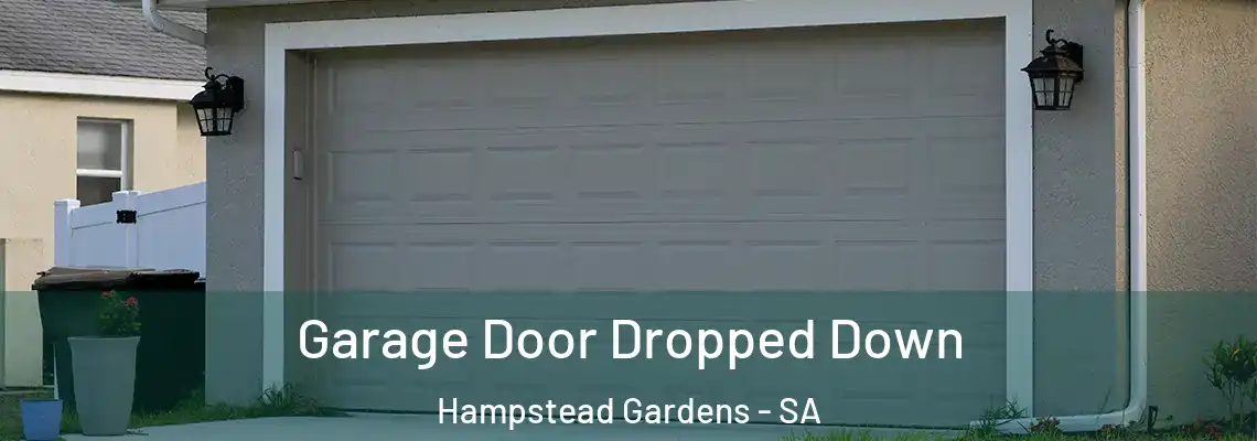  Garage Door Dropped Down Hampstead Gardens - SA