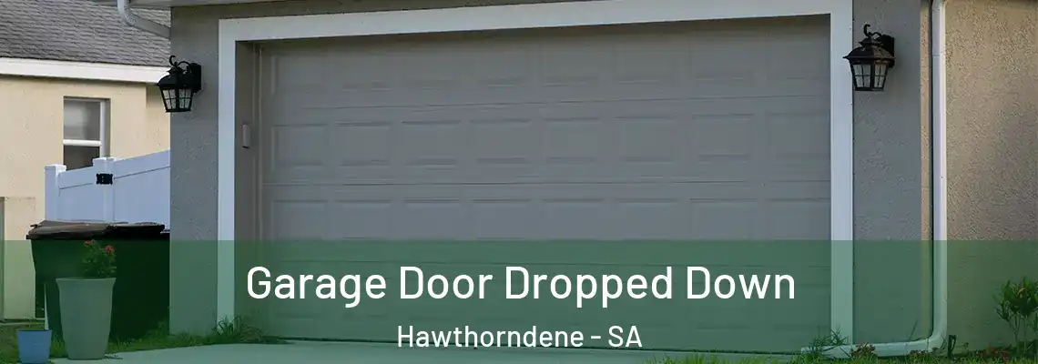  Garage Door Dropped Down Hawthorndene - SA