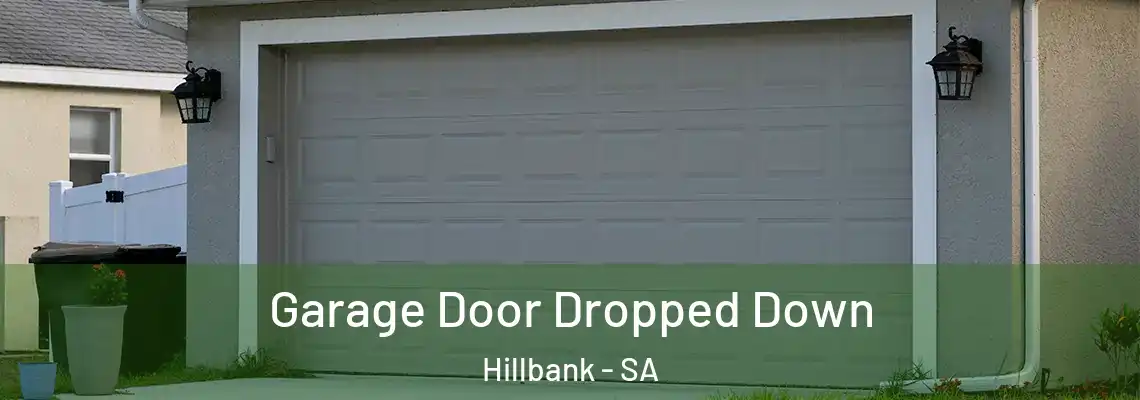  Garage Door Dropped Down Hillbank - SA