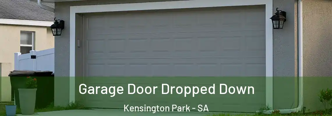  Garage Door Dropped Down Kensington Park - SA