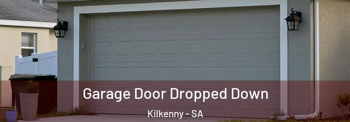  Garage Door Dropped Down Kilkenny - SA