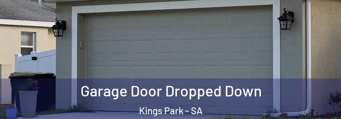  Garage Door Dropped Down Kings Park - SA