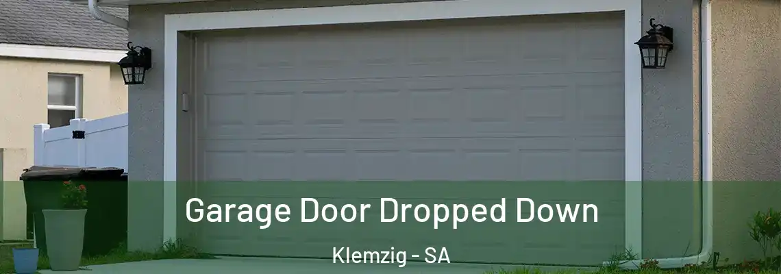  Garage Door Dropped Down Klemzig - SA