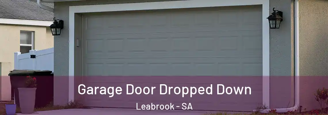  Garage Door Dropped Down Leabrook - SA