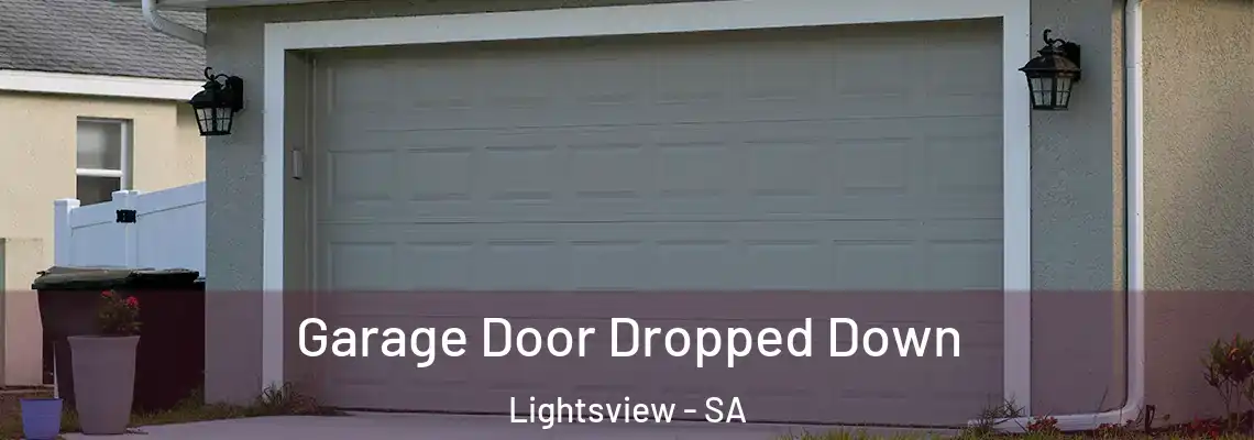  Garage Door Dropped Down Lightsview - SA