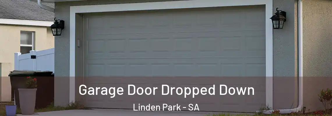  Garage Door Dropped Down Linden Park - SA